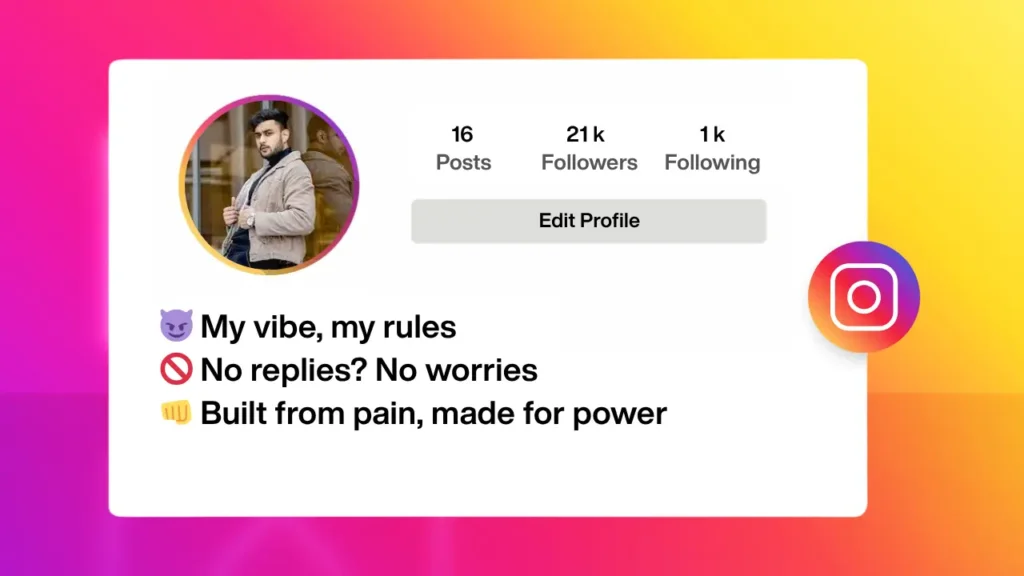 Instagram bio for boys attitude